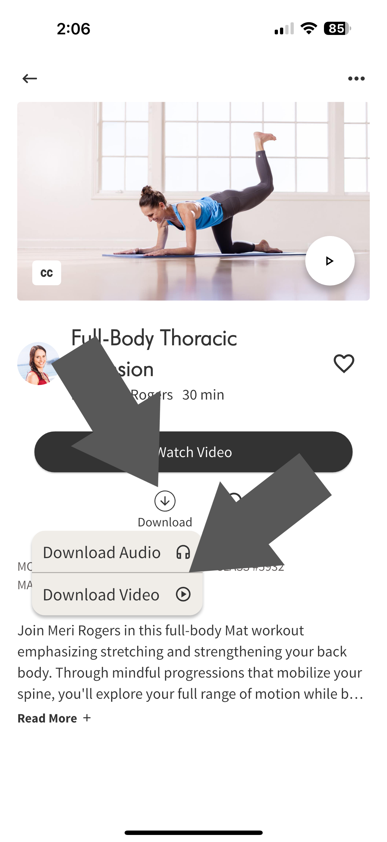 PA Download Audo or Video .png