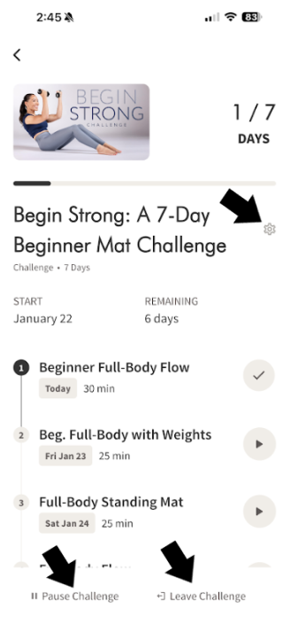 PA Challenge Settings Pause Cancel.png