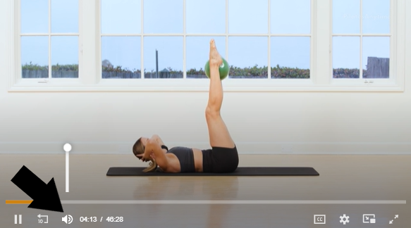 PA Web Video Controls Volume.png